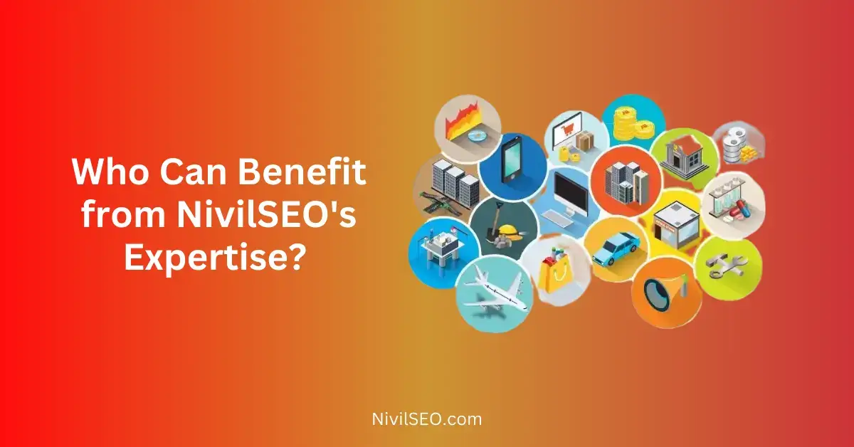 WHO CAN BENEFIT FROM NIVILSEO’S EXPERTISE